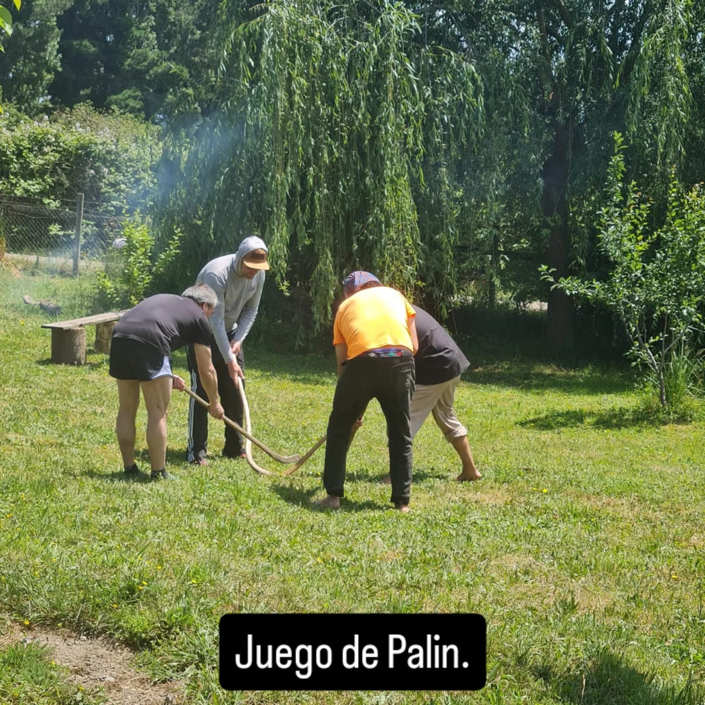 Vida de Campo